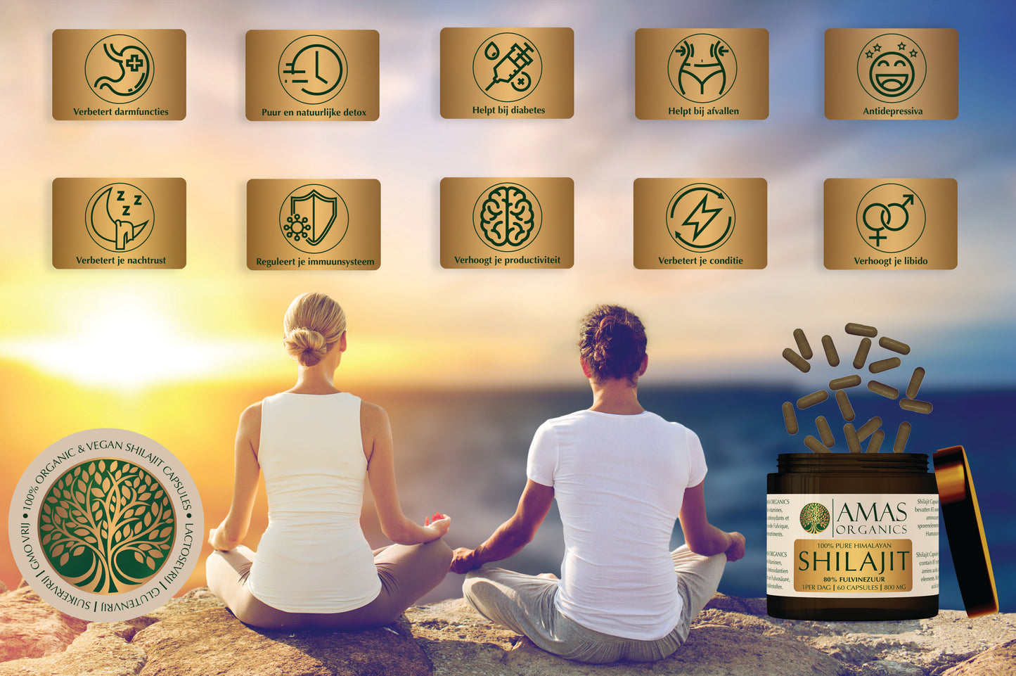 AMAS ORGANICS | 100% PURE HIMALAYAN SHILAJIT CAPSULES | 80% FULVINEZUUR | 800 MG | 60 CAPSULES